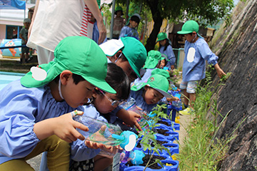 園での生活の様子