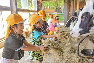 園での生活の様子
